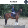 Ruin Volbloed Te koop 2022 Donker bruin / bai ,  ELM PARK (GB)