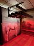 Paarden Solarium 20 infrarood lampen