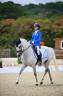 Ruin Franse rijpony PFS Te koop 2008 Schimmel ,  MINOTAUROS