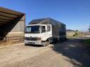 Zware paardenvrachtwagen (groot rijbewijs) Mercedes Atego 1999 Tweedehands