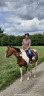 Ruin Paint Horse Te koop 2020 Bont