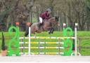 Merrie Holsteiner Te koop 2019 Bruin / Bai ,  Asca