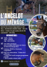 L'ancelot du m&eacute;nage  - New Forest 2021 ,  SILVERLEA SIMPLY RED