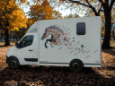 Kleine paardenvrachtwagen (B rijbewijs) ACR Renault Master 2018 Tweedehands