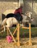DEEP BLUE DES ZIMB - Franse rijpony PFS 2013 ,  Uniblue