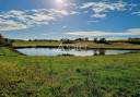 Landbouw bedrijf Koop Hautes-Pyrénées