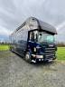 Zware paardenvrachtwagen (groot rijbewijs) Scania P380 2010 Tweedehands