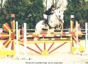 Iwan de Villate - Franse rijpony PFS 1996 ,  VVHISKY VIF ARGENT