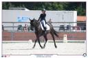 Ruin Franse rijpony PFS Te koop 2011 Zwart ,  HILKENS BLACK DELIGHT