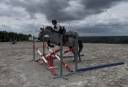 Ruin Connemara Te koop 2022 Schimmel ,  Killaloe Buachaill Mor