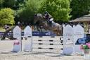 Merrie Trakehner Te koop 2016 Zwart ,  SIR SANSIBAR