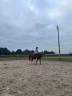Merrie Franse rijpony PFS Te koop 2007 Vos