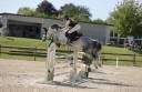 Ruin Franse rijpony PFS Te koop 2020 Schimmel