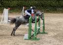 Merrie Franse rijpony PFS Te koop 2022 Schimmel