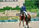 Merrie Hannoveraan  Te koop 2016 Vos ,  dream of glory