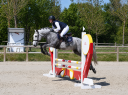 Ruin Franse rijpony PFS Te koop 2022 Schimmel