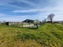 Schapen exploitatie Koop Haute-Vienne
