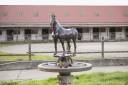 Hippisch vastgoed Koop Seine-et-Marne