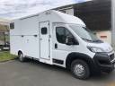 Kleine paardenvrachtwagen (B rijbewijs) AP Petit Peugeot Boxer L4  2020 Nieuw