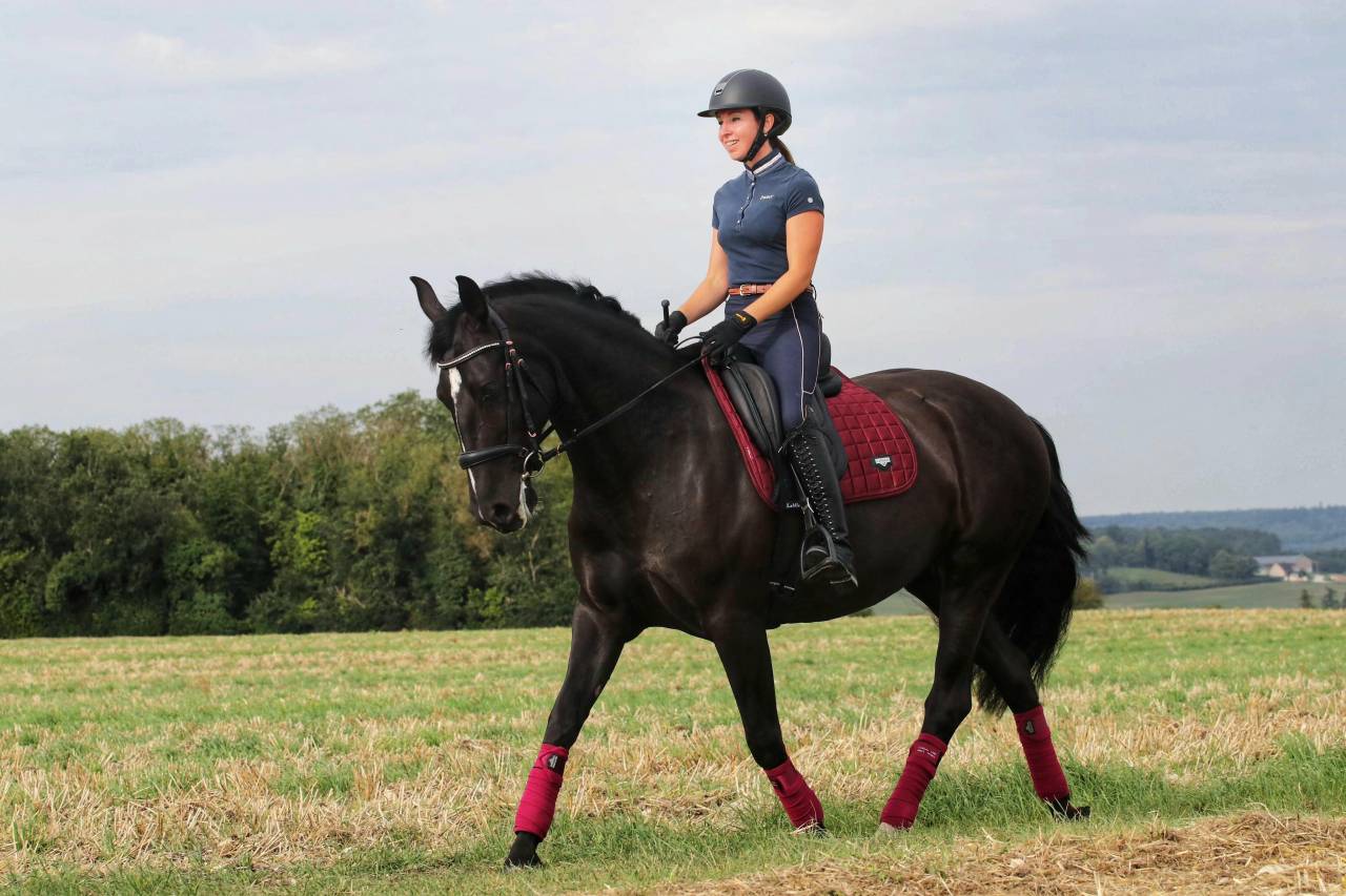 Merrie PRE Puur Ras Spaans Te koop 2018 Zwart