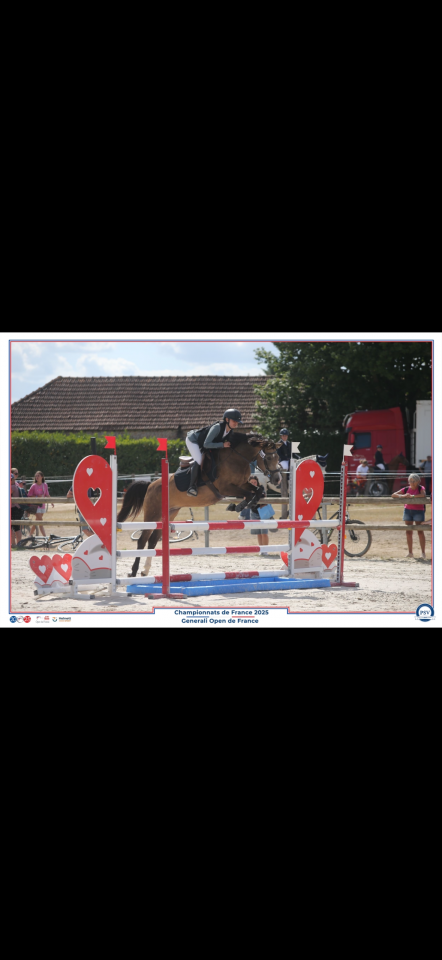 Merrie Franse rijpony PFS Te leen 2016 Isabel