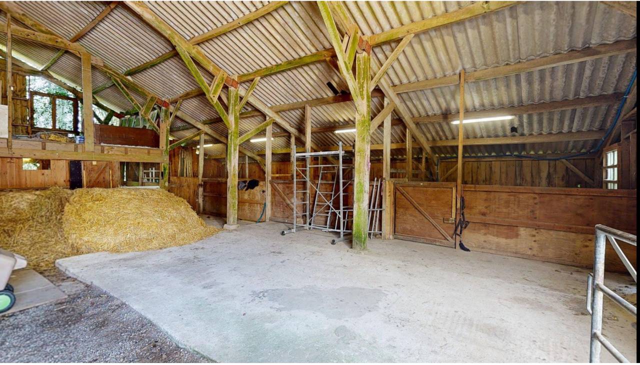 Hippisch vastgoed Koop Morbihan
