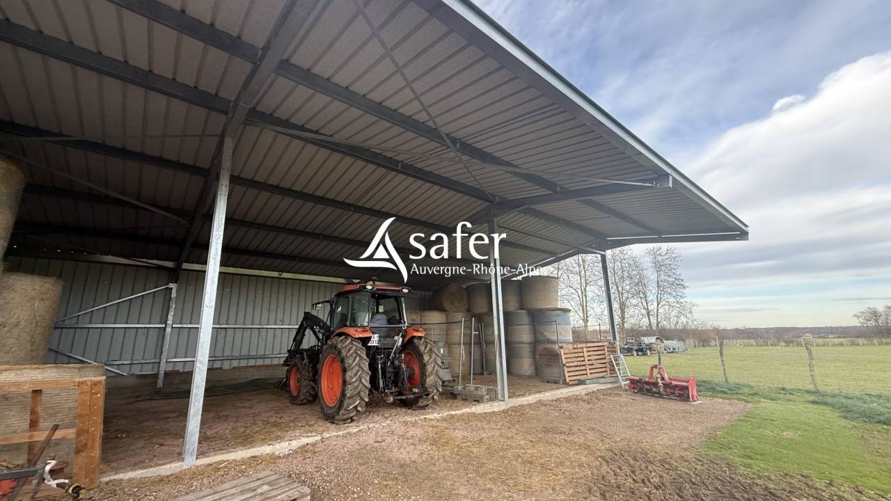 Ander plattelands vastgoed Koop Allier