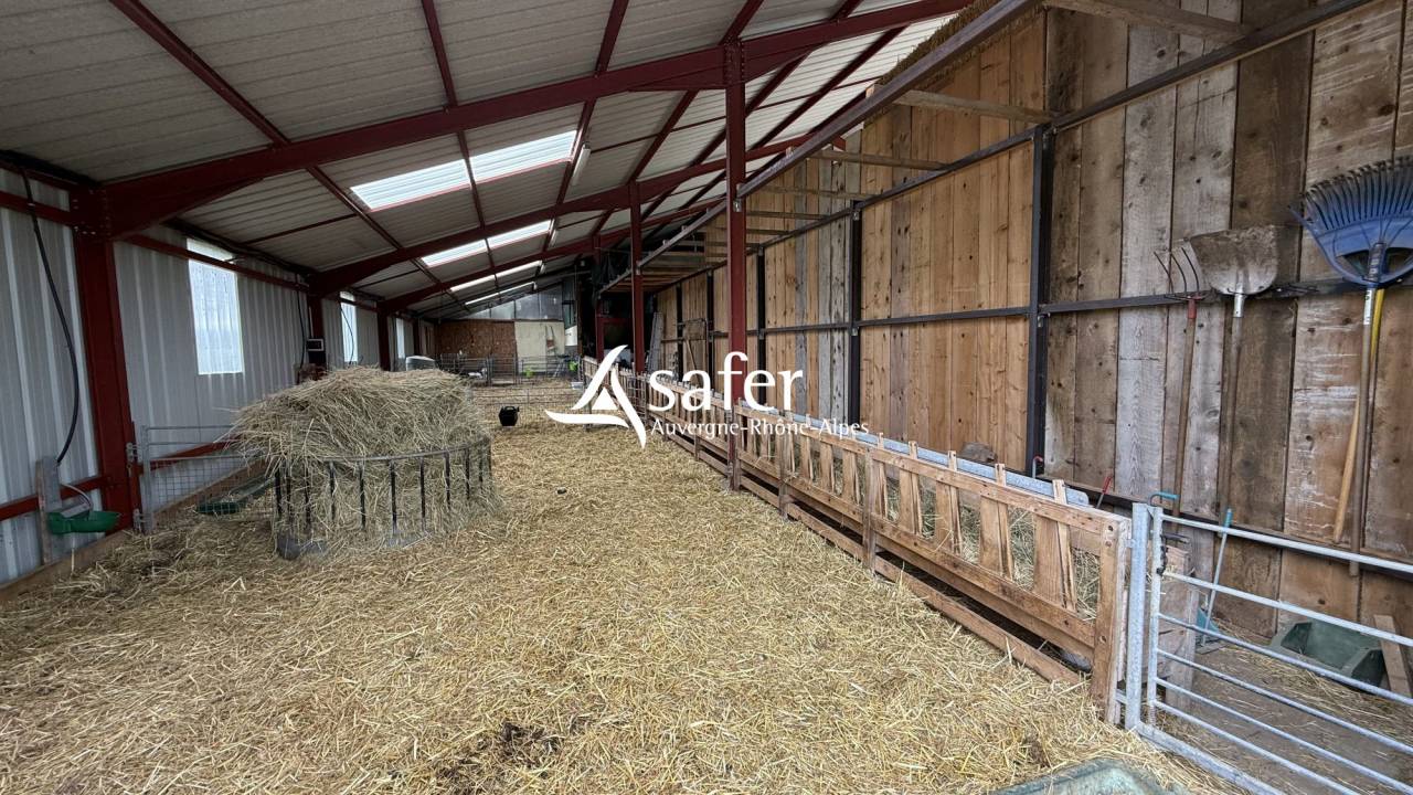 Ander plattelands vastgoed Koop Allier