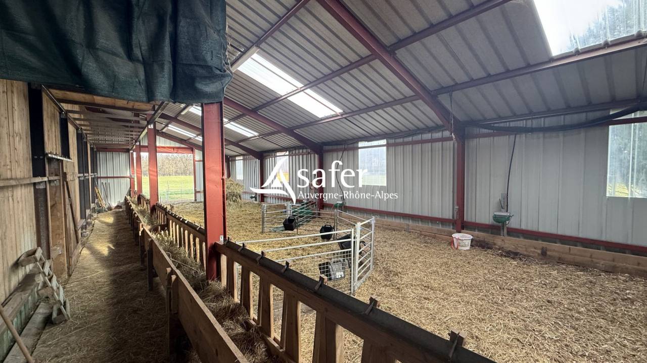 Ander plattelands vastgoed Koop Allier