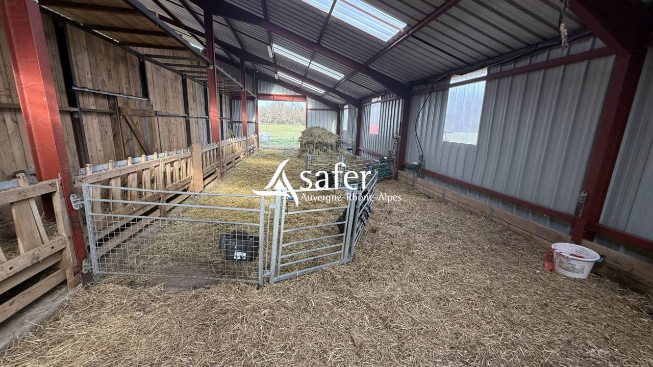 Ander plattelands vastgoed Koop Allier