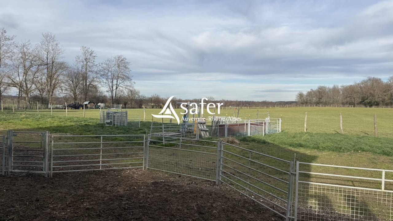 Ander plattelands vastgoed Koop Allier