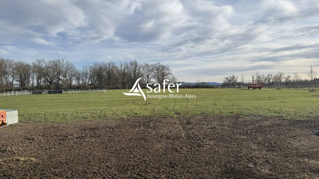 Ander plattelands vastgoed Koop Allier