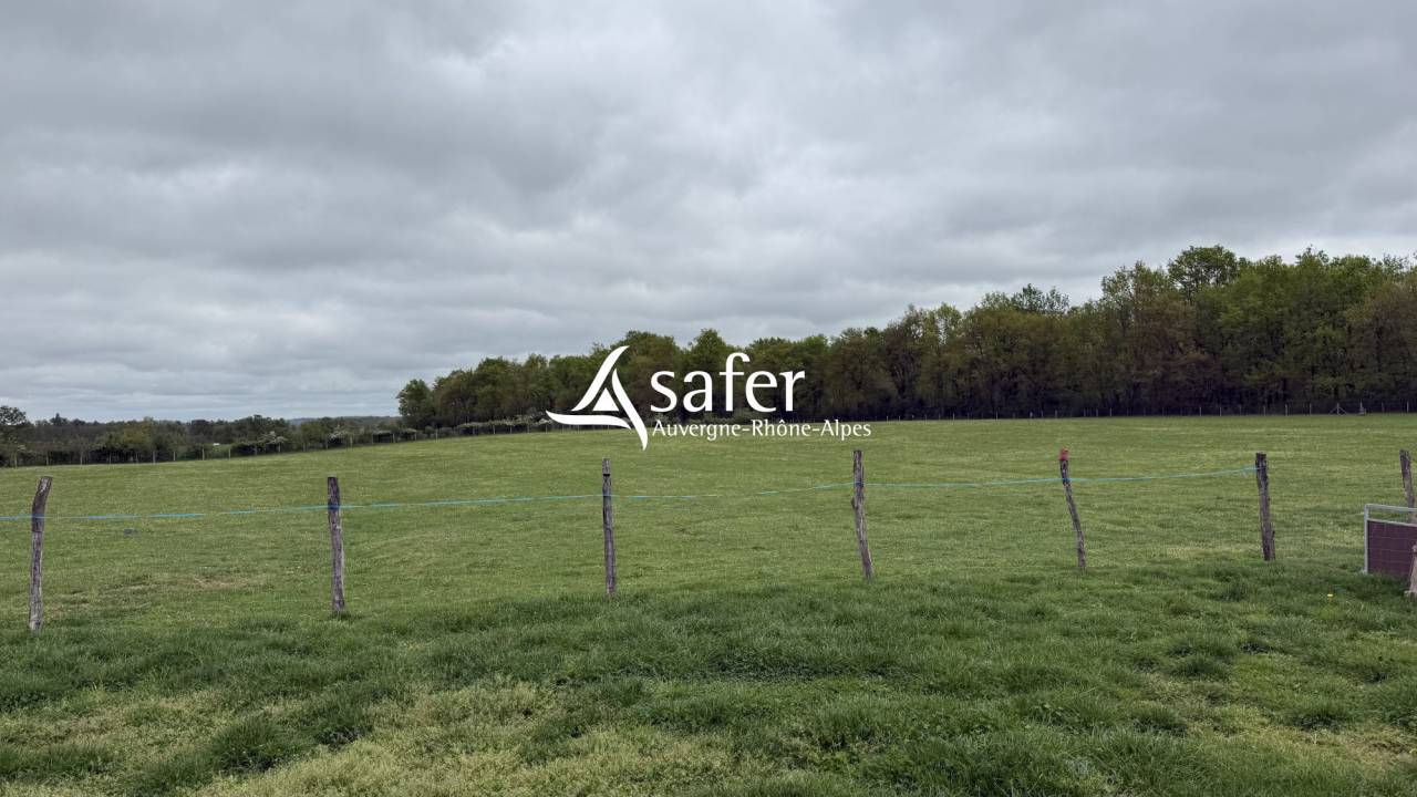 Ander plattelands vastgoed Koop Allier