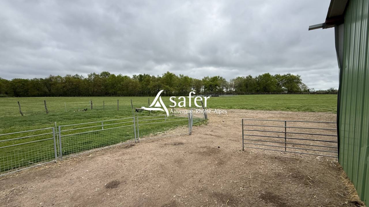 Ander plattelands vastgoed Koop Allier