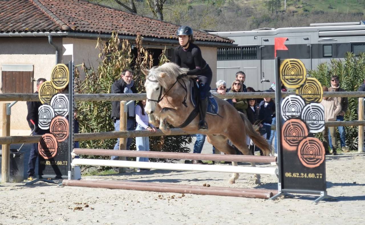 Ruin Franse rijpony PFS Te koop 2020 Bont