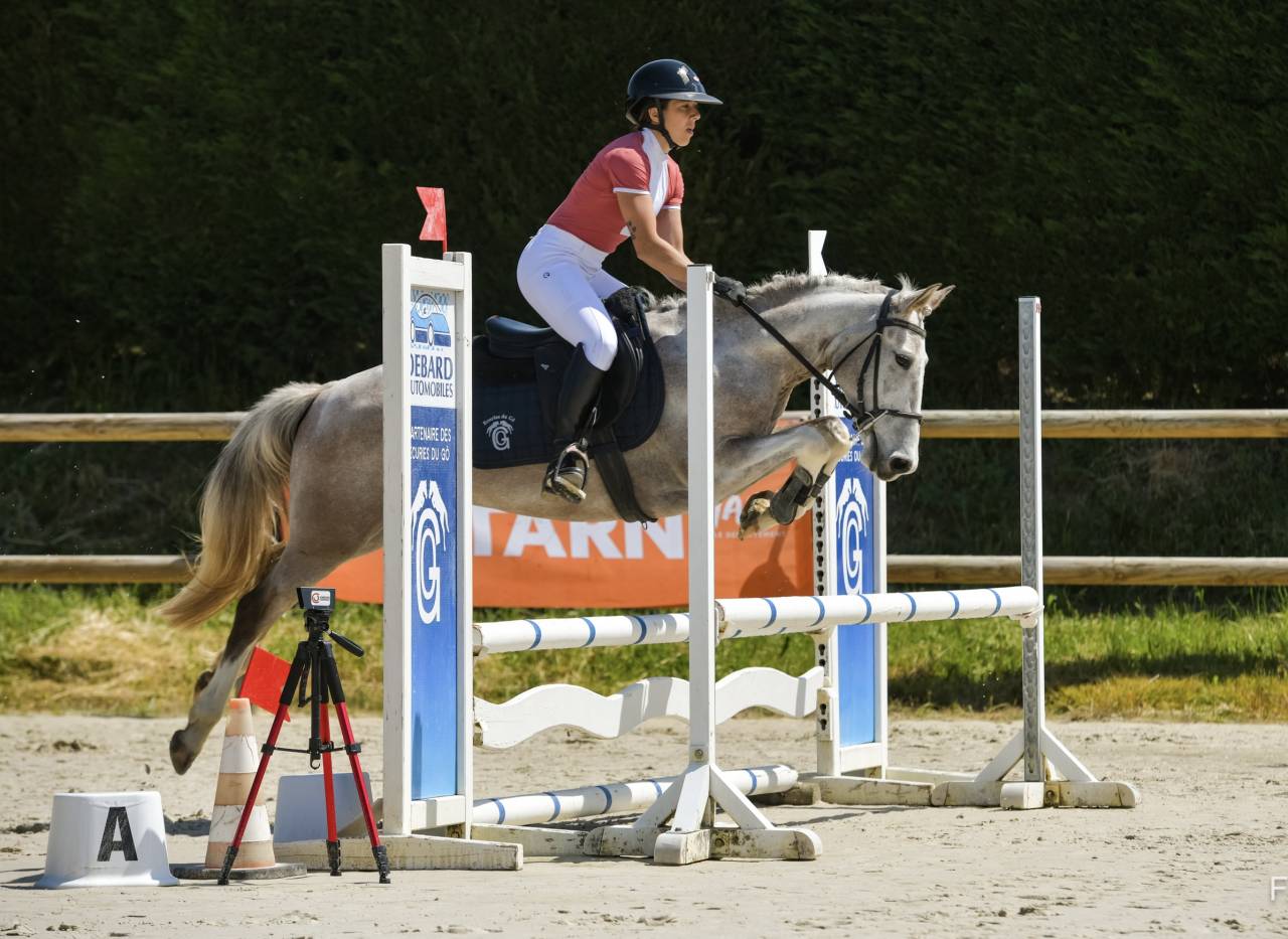 Ruin Franse rijpony PFS Te koop 2020 Bont