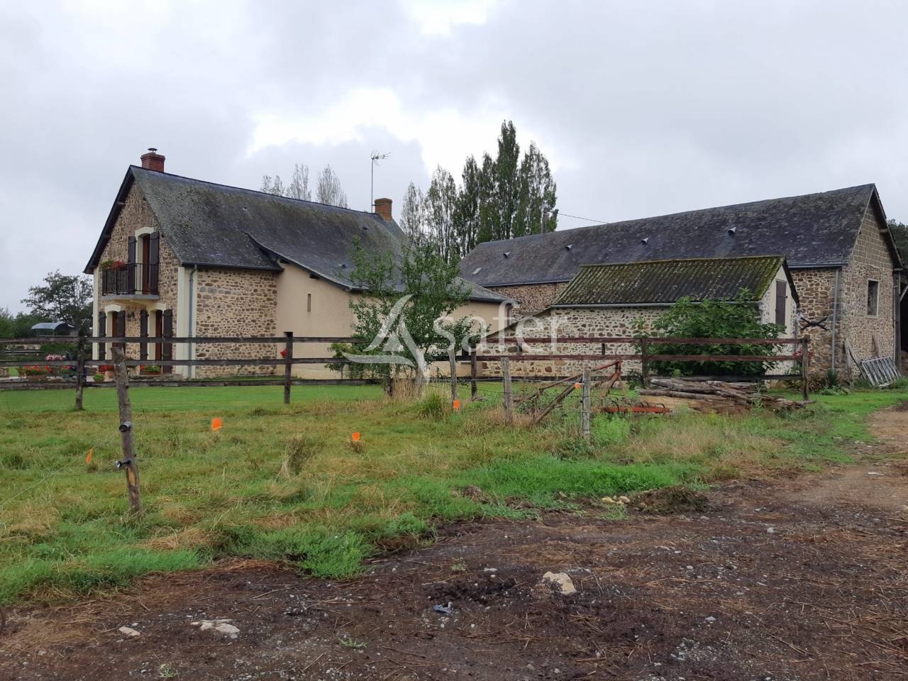 Schapen exploitatie Koop Mayenne