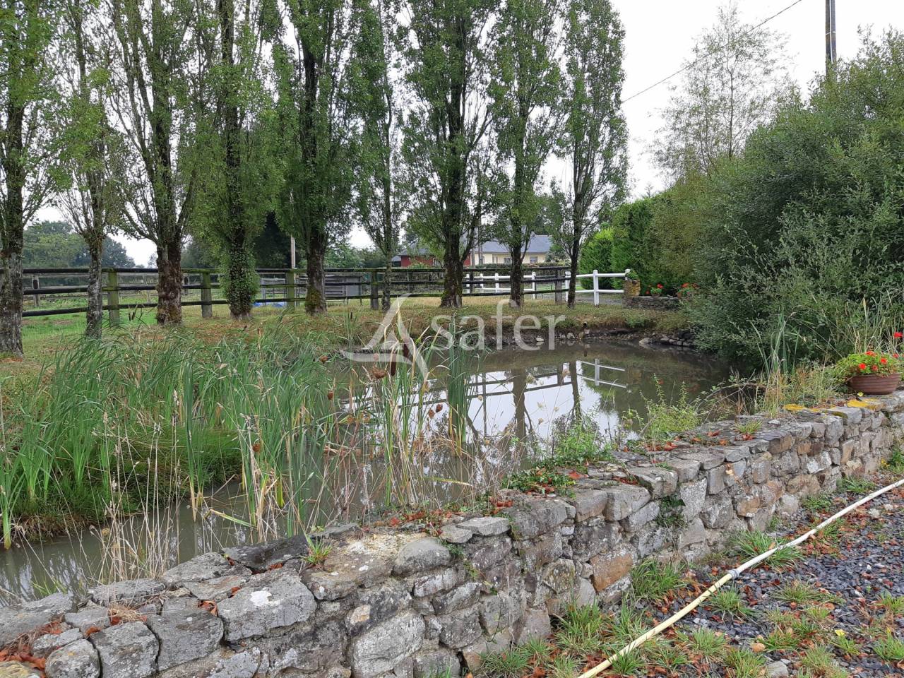Schapen exploitatie Koop Mayenne
