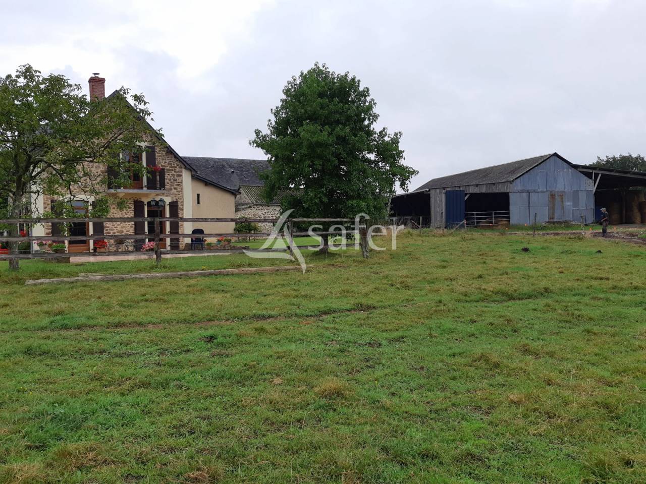 Schapen exploitatie Koop Mayenne