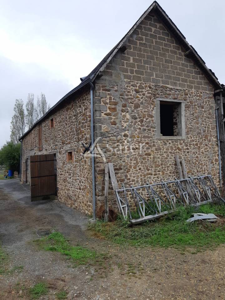 Schapen exploitatie Koop Mayenne