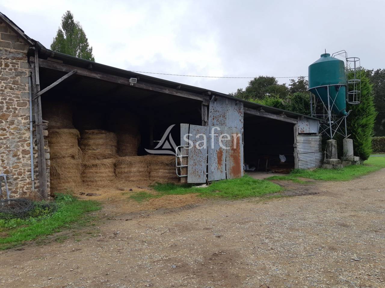 Schapen exploitatie Koop Mayenne