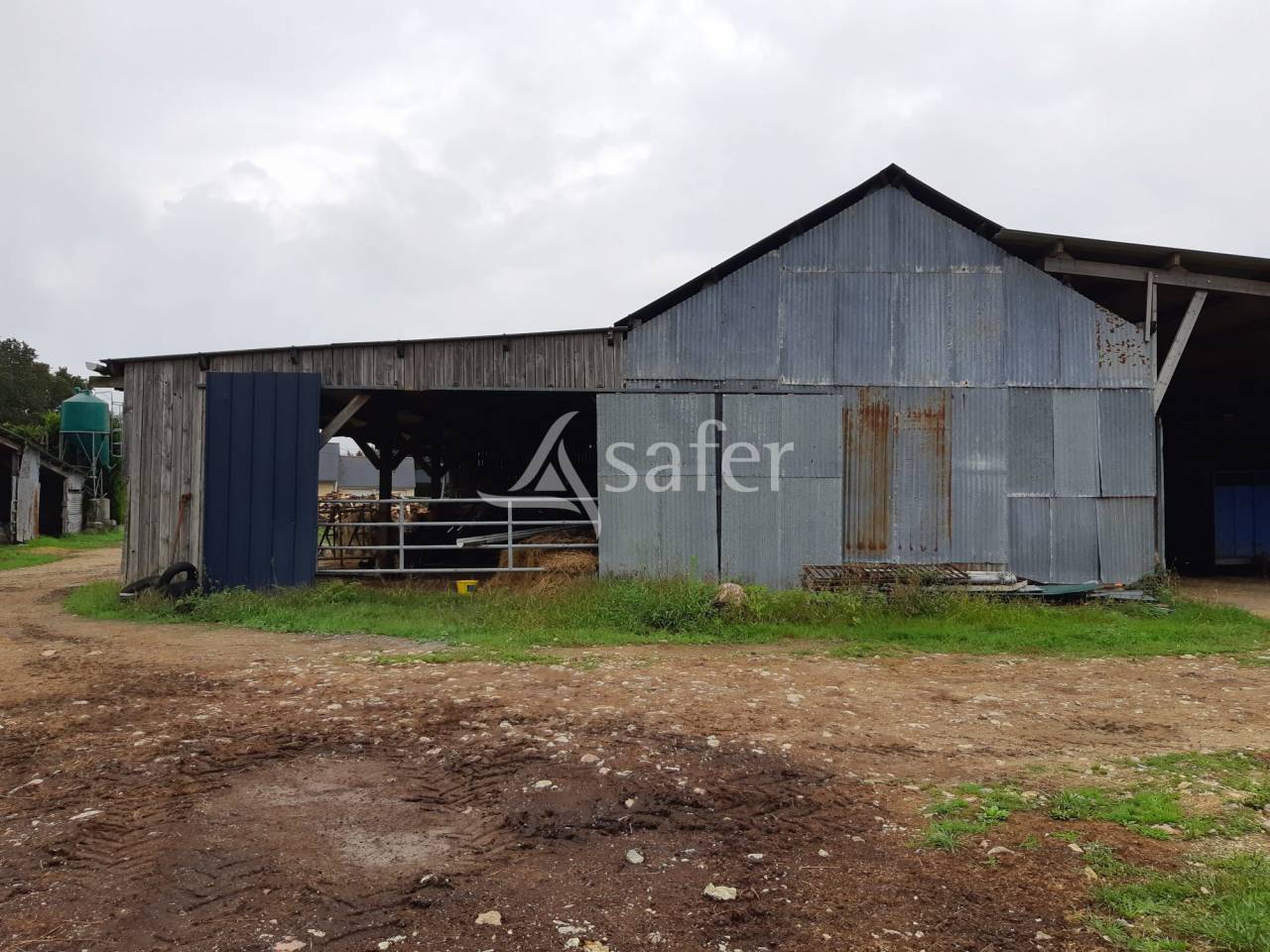 Schapen exploitatie Koop Mayenne