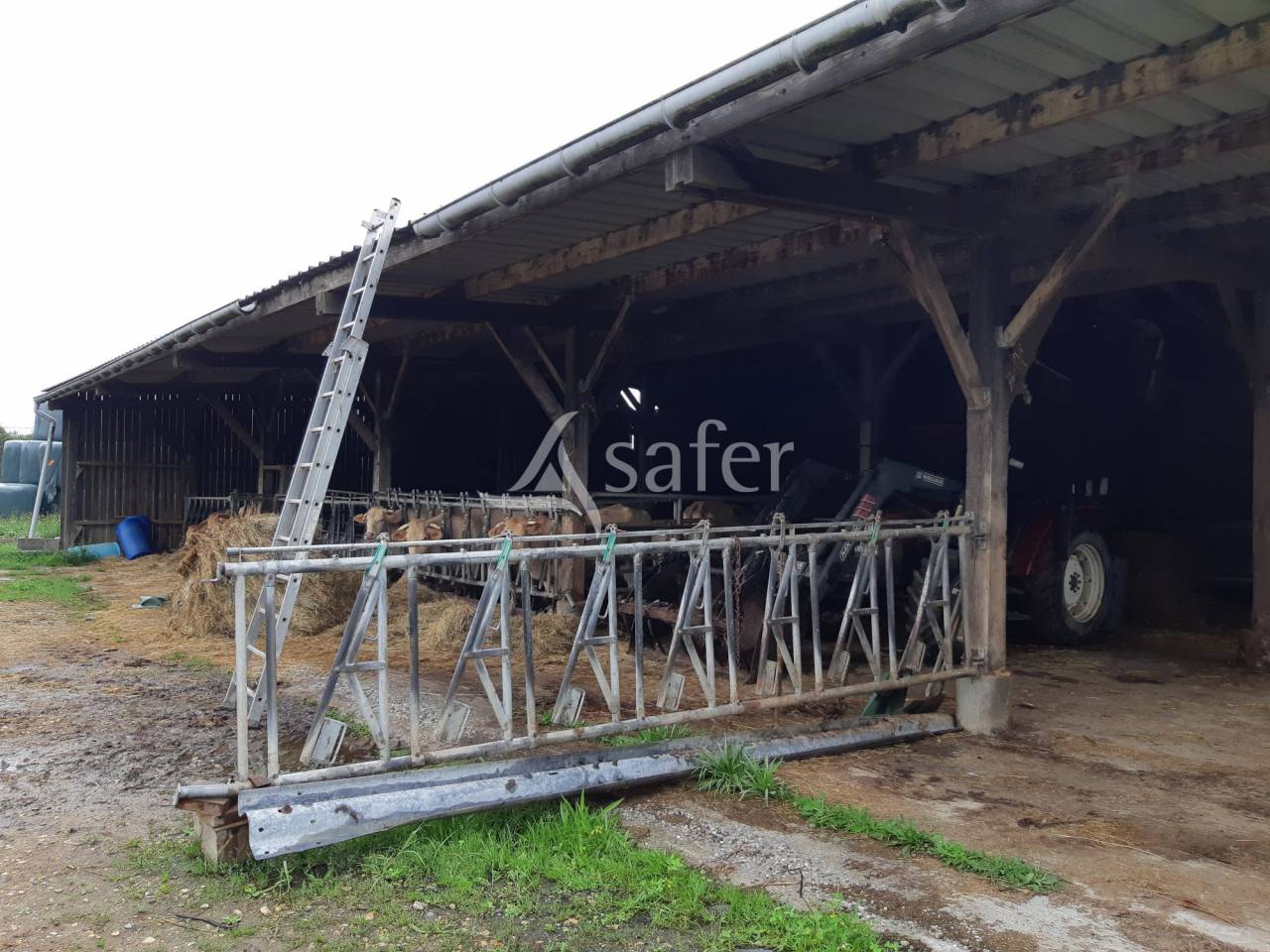 Schapen exploitatie Koop Mayenne