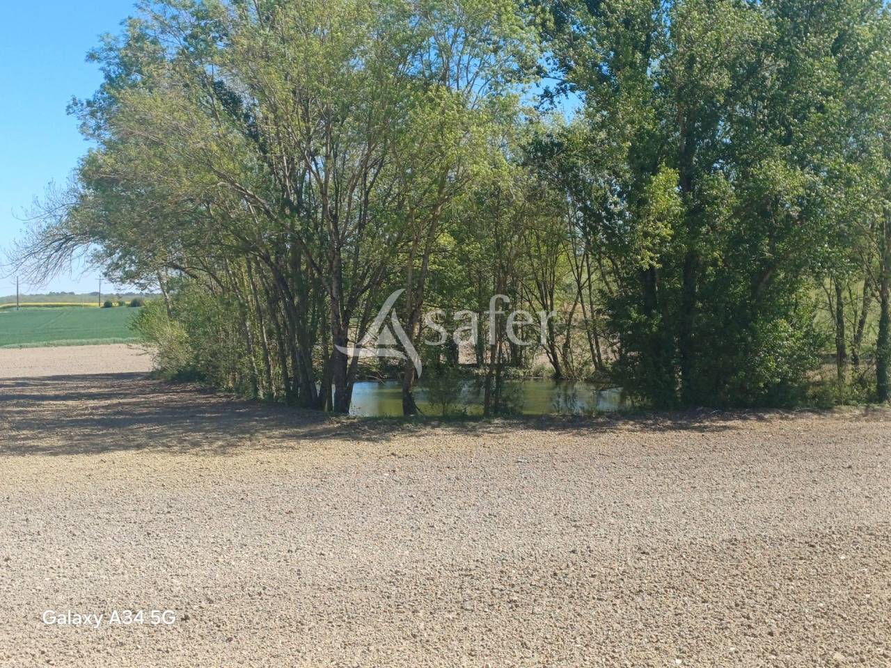 Landbouw bedrijf Koop Lot-et-Garonne