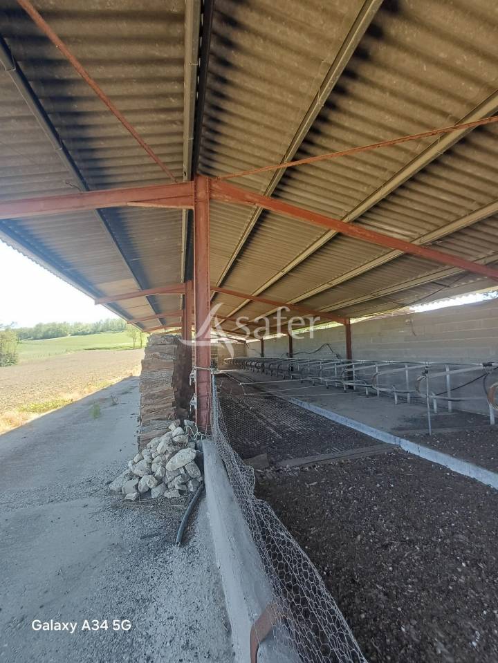 Landbouw bedrijf Koop Lot-et-Garonne
