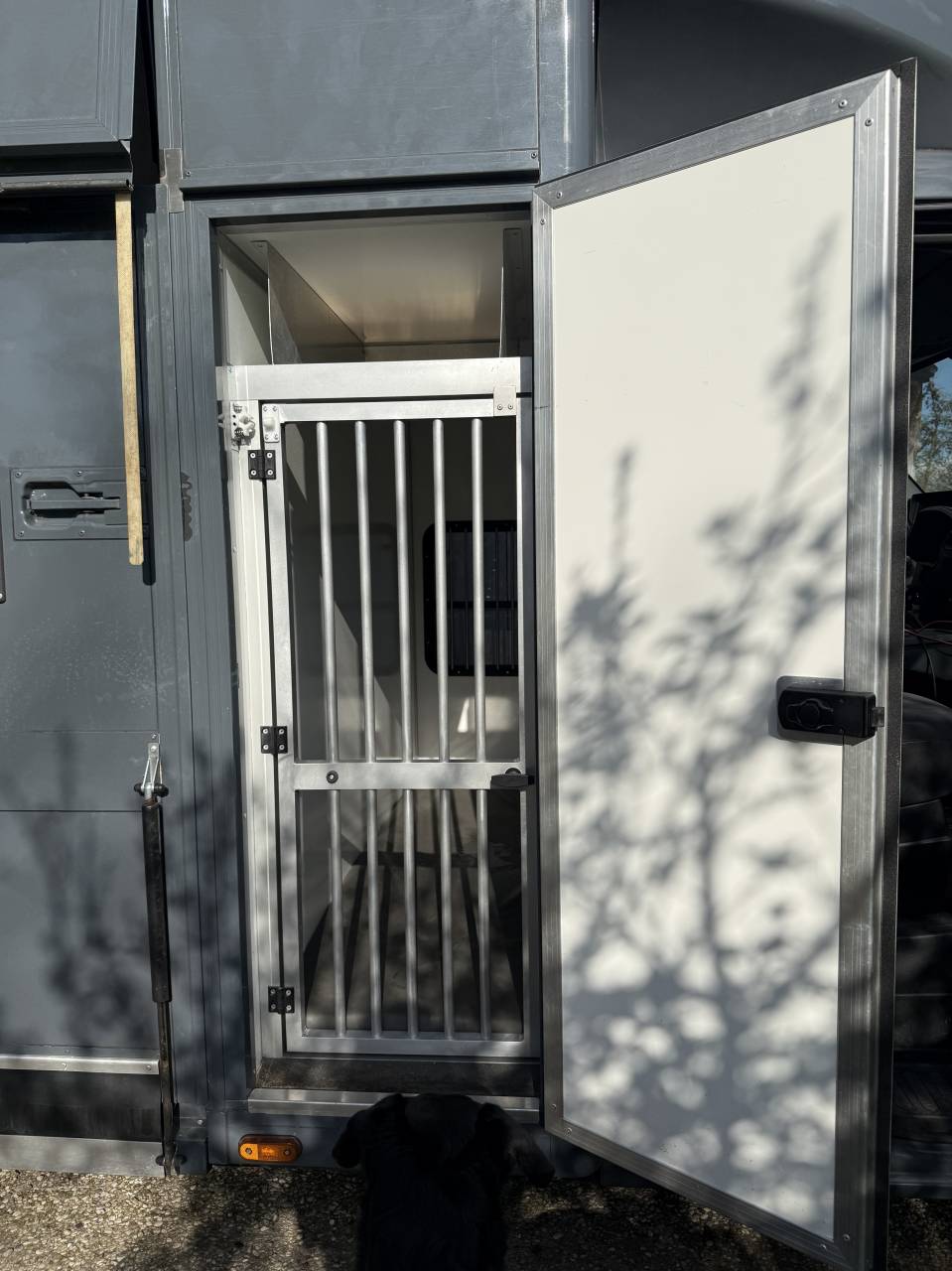 Paardenwagen Renault Master (B-rijbewijs)
