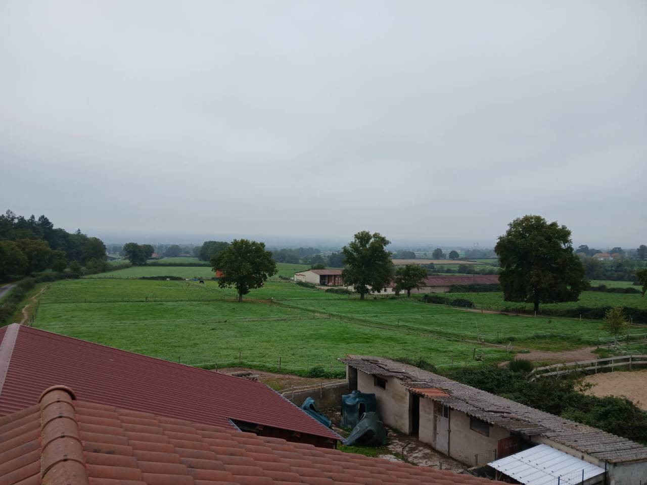 Paarden boerderij Koop Loire