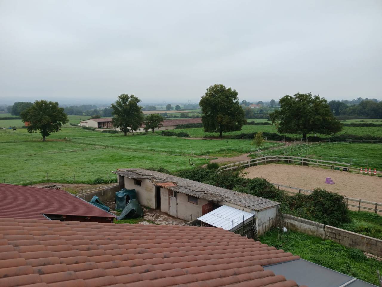 Paarden boerderij Koop Loire