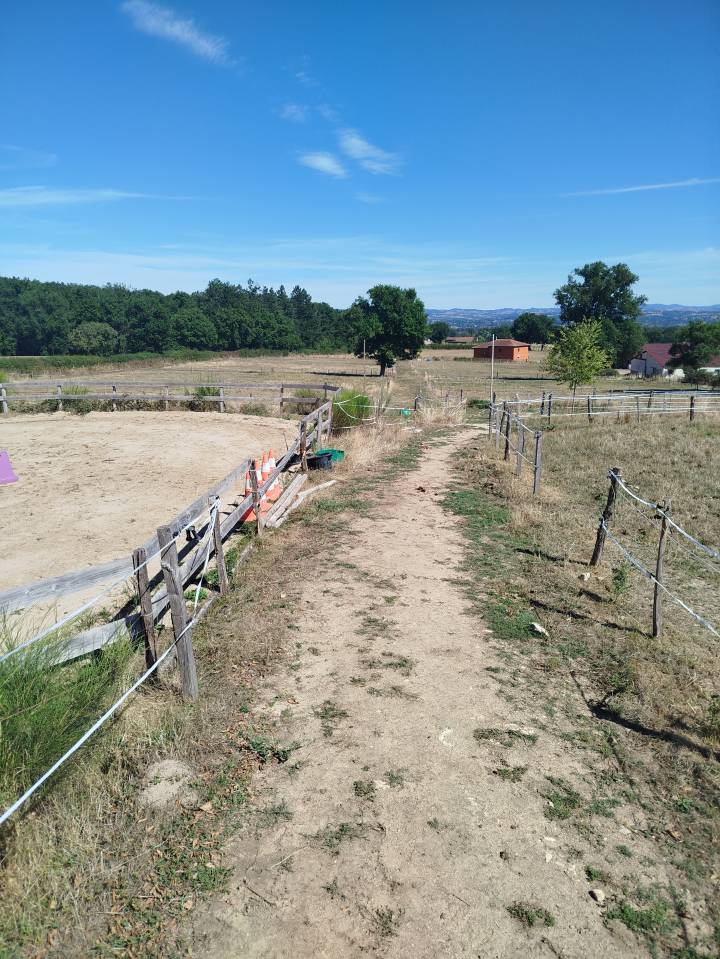Paarden boerderij Koop Loire