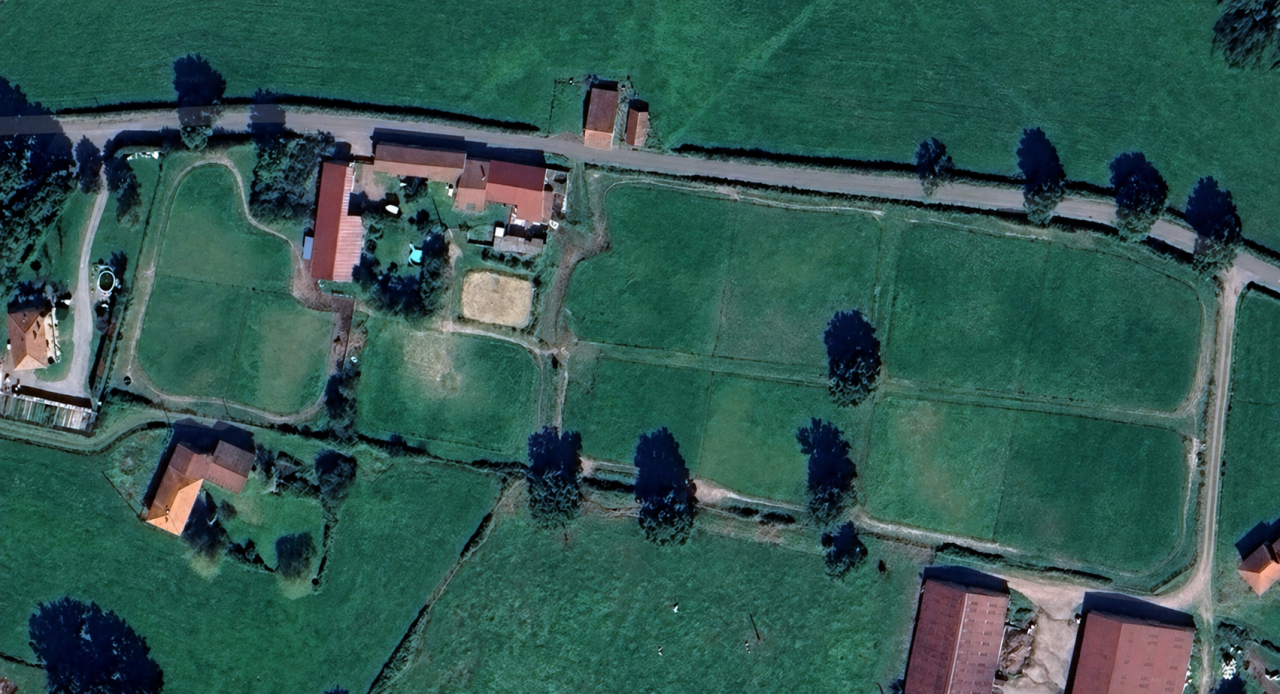 Paarden boerderij Koop Loire